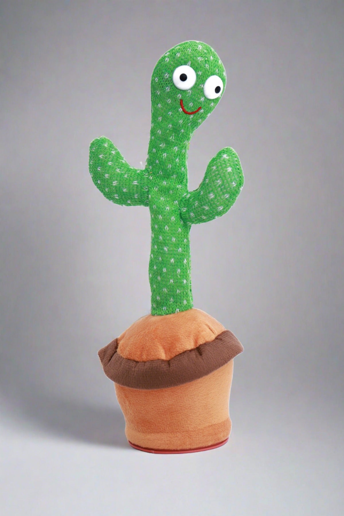 Kids Cactus Plant Toy