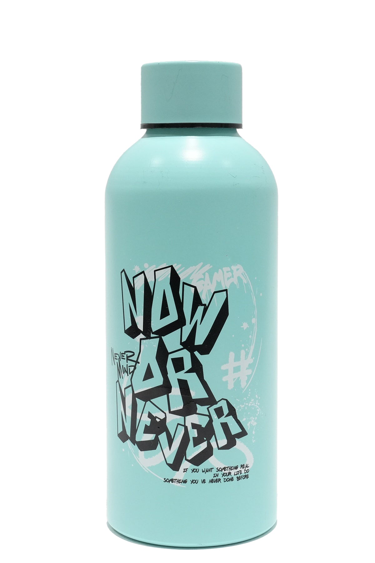 Stainless Steel Water Bottle