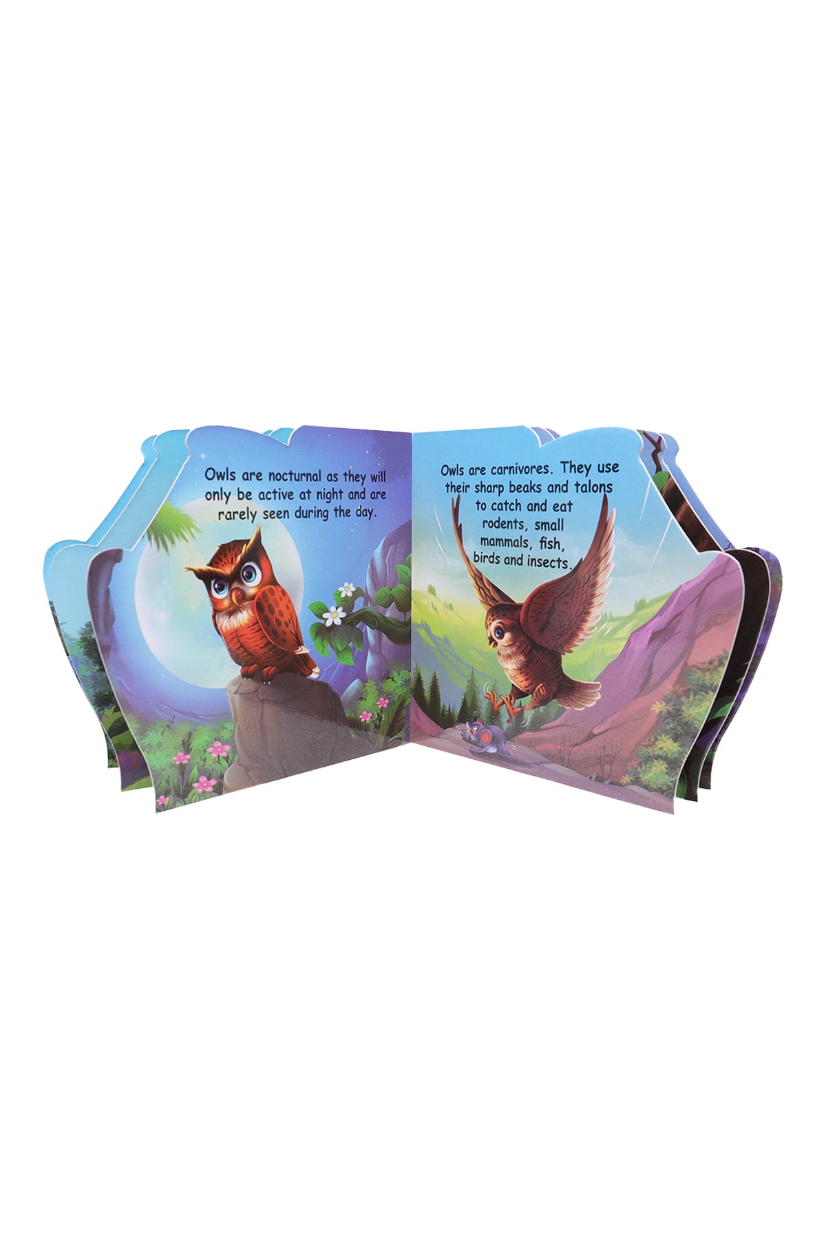 Who Am I : Owl Learning Book