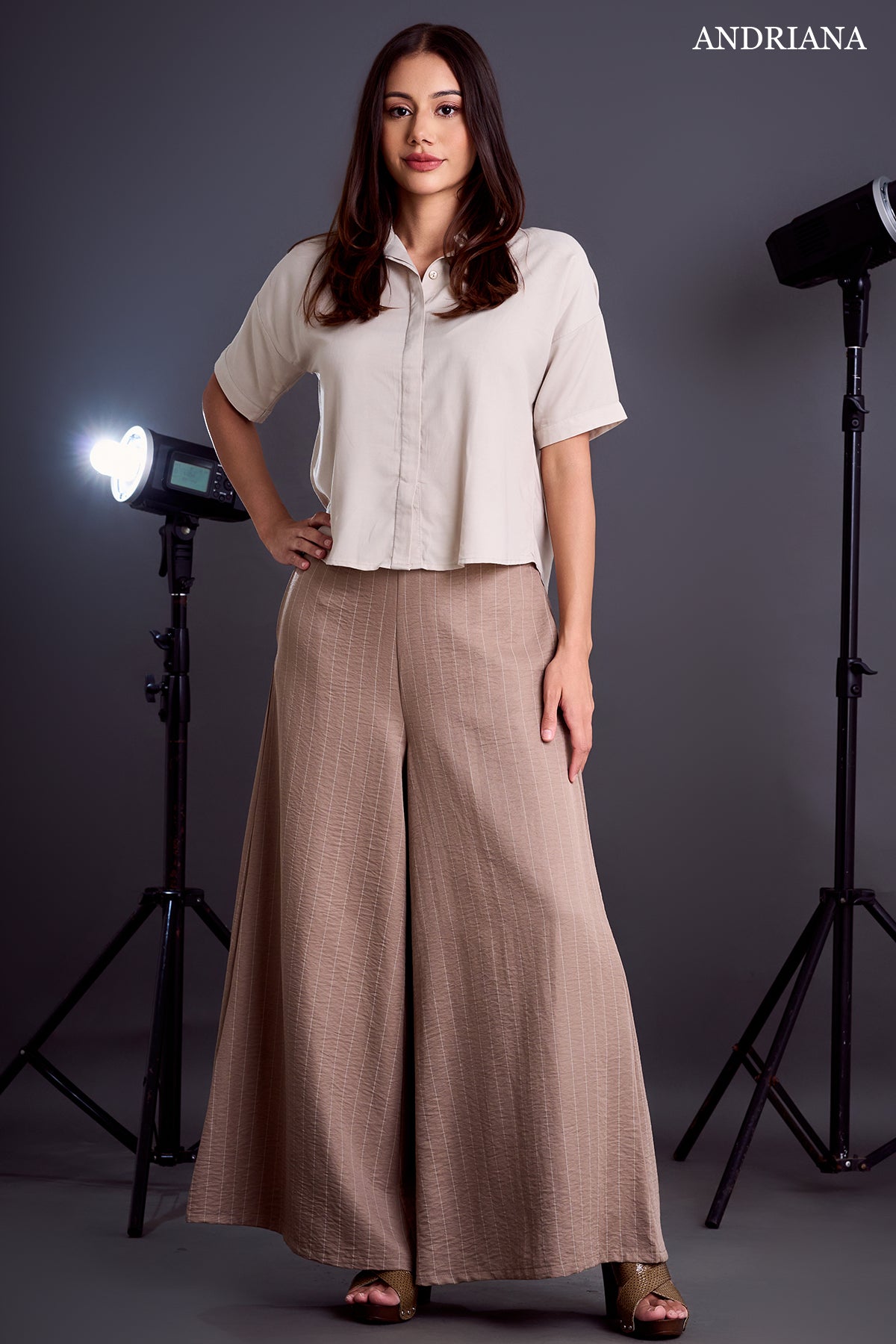 ANDRIANA Women's Striped Formal Trousers