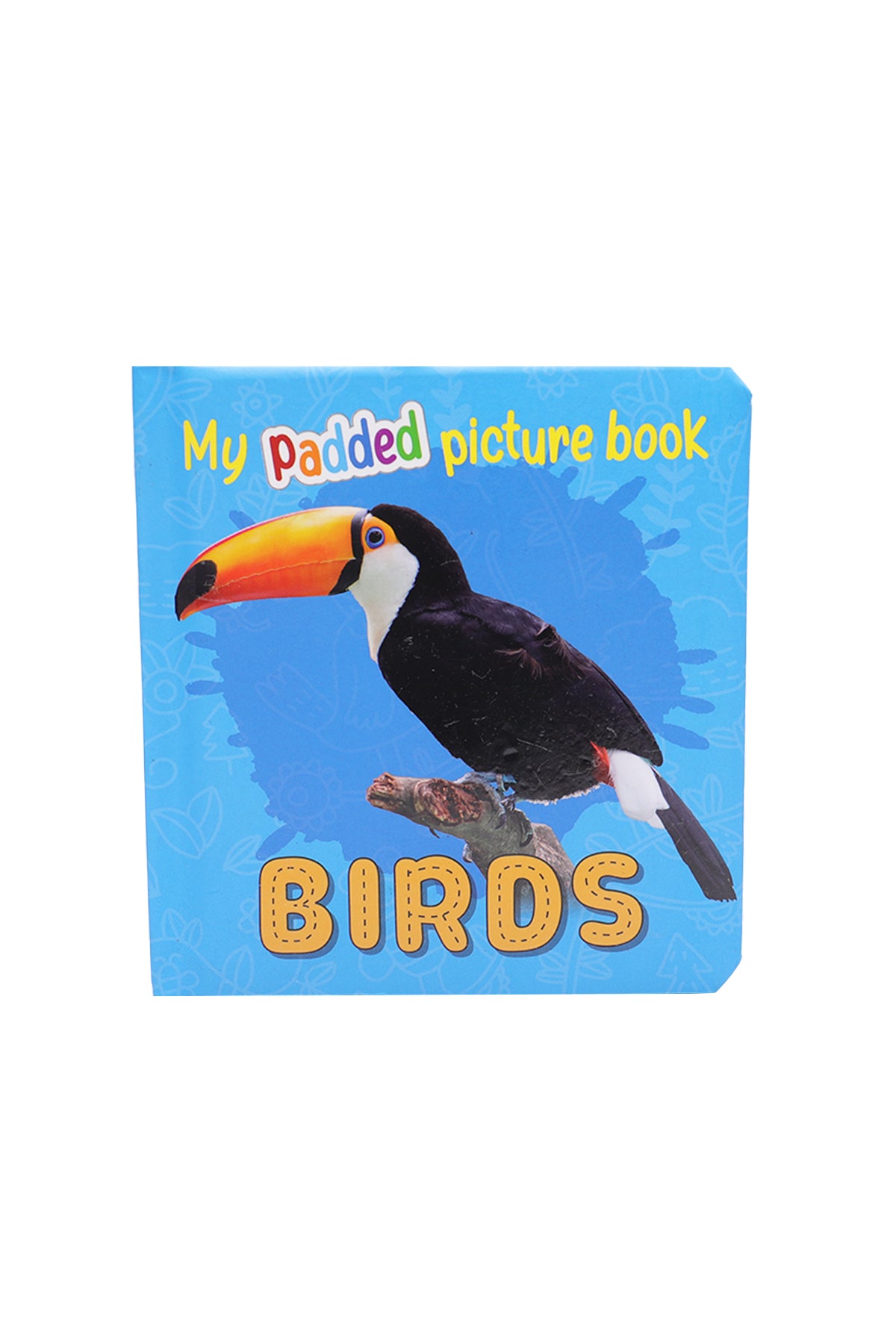 Birds Learning Picture Books