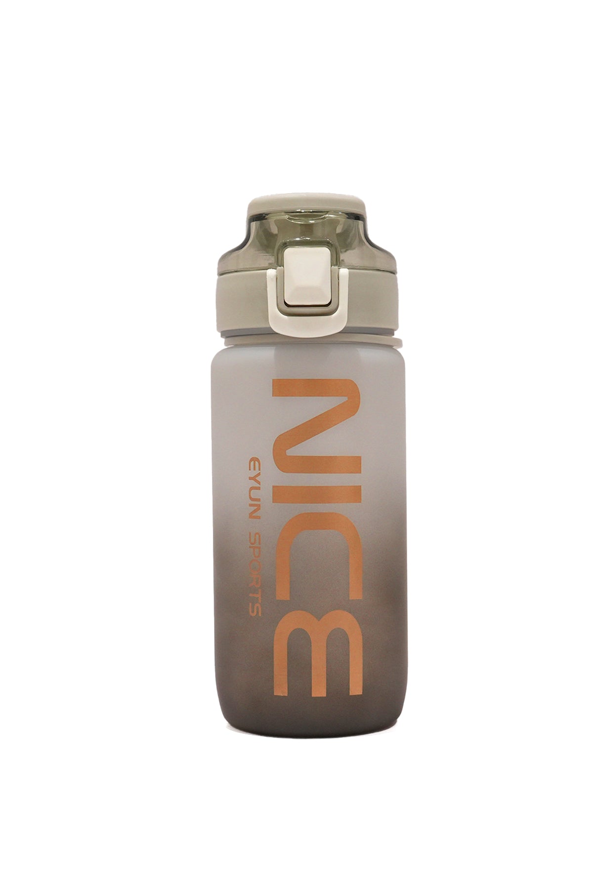 Water Bottle (550ml)