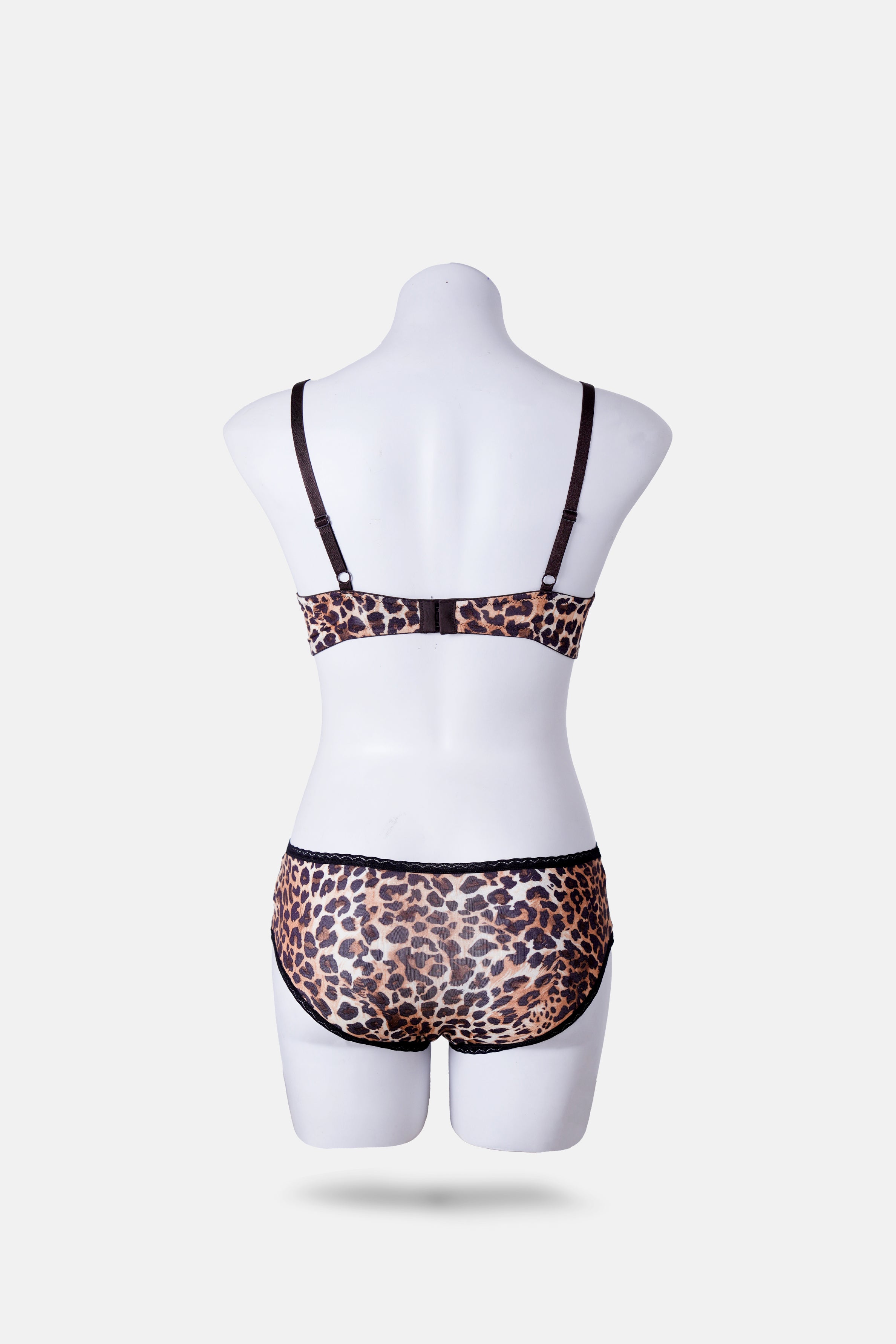 Envogue Brown Padded Bra