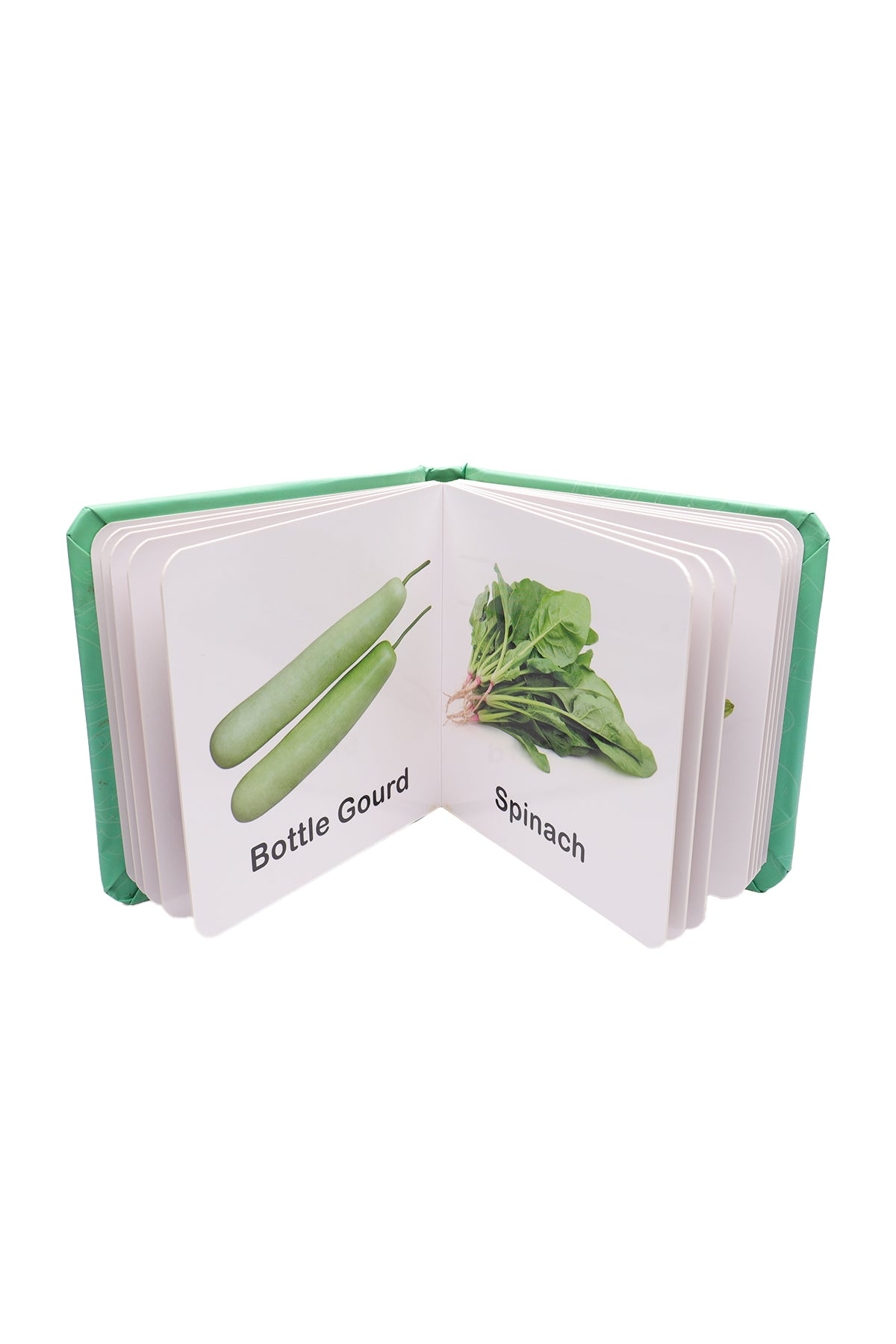 Vegetables Learning Picture Books