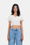 Modano Women's Crop Top - Casual  Wear