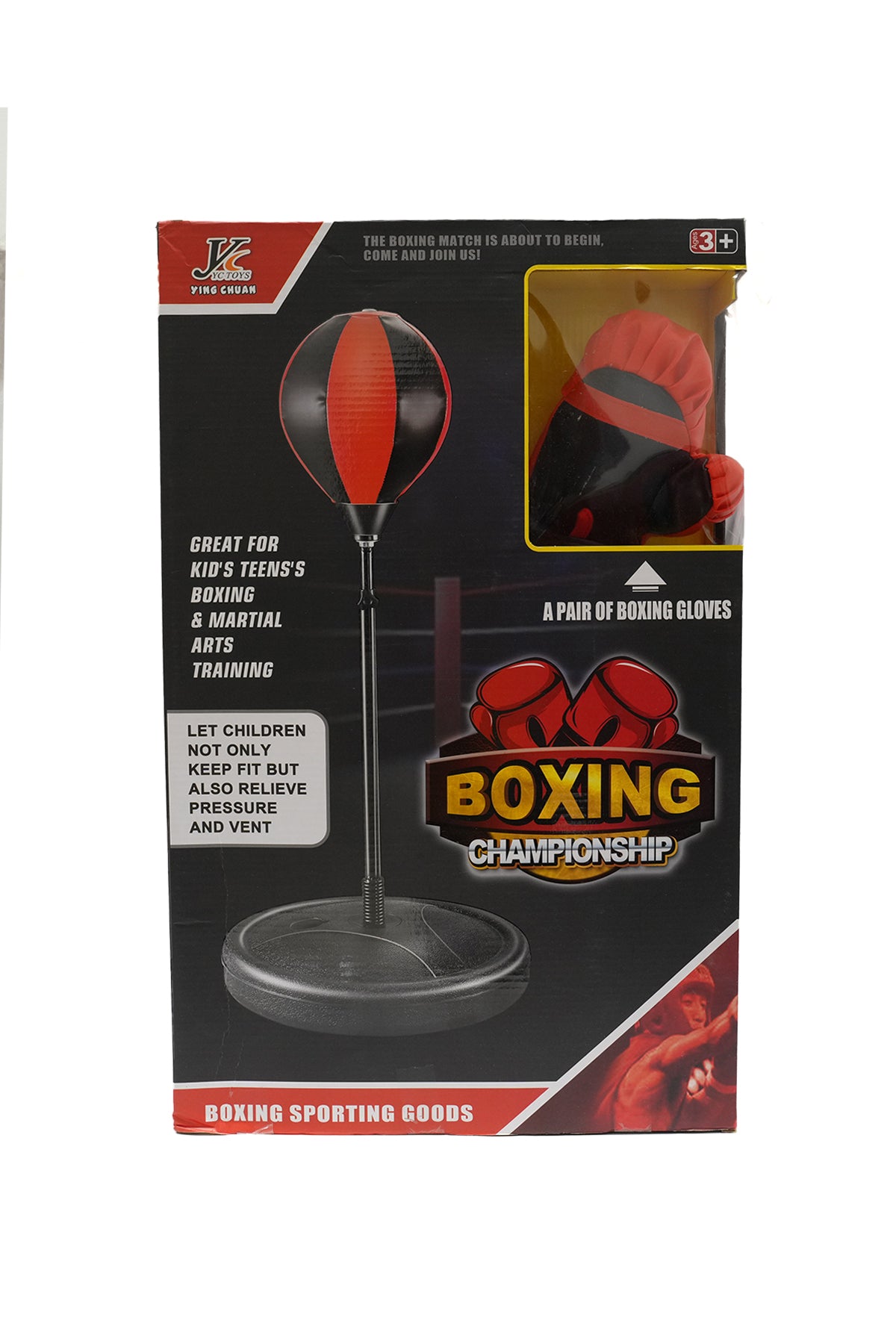 Punching Boxing Standing (Gloves Included)