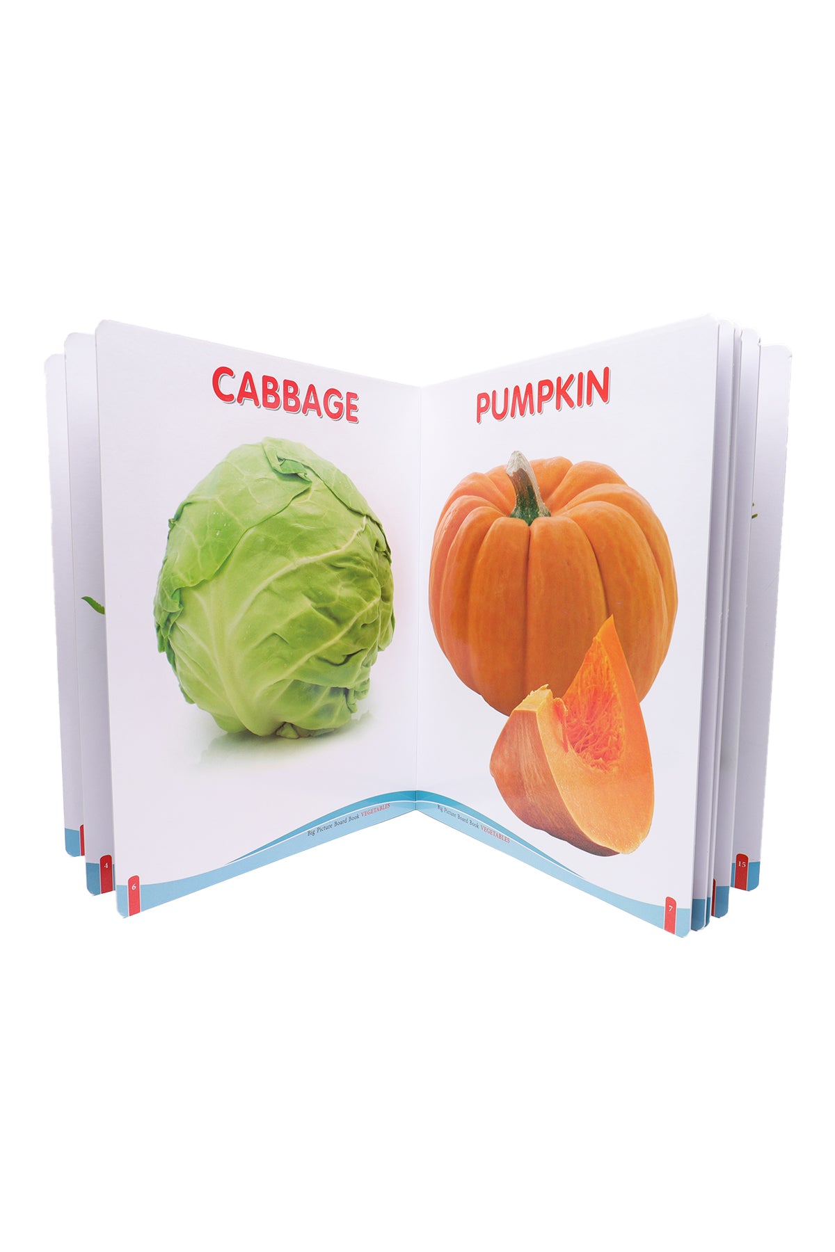 Big Picture Board Book (Vegetables)