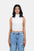 Modano Women's Crop Top - Casual  Wear