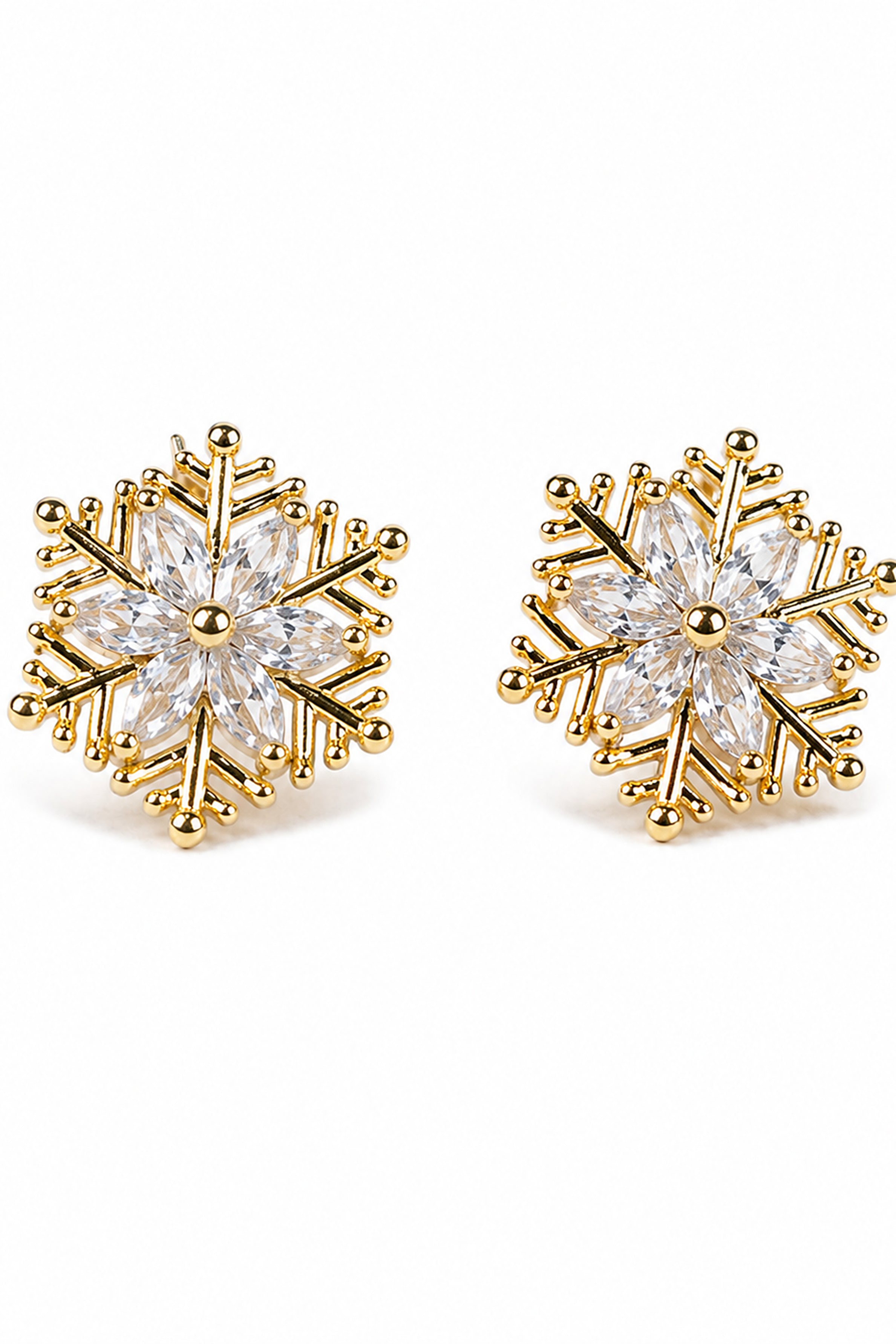 Women's Elegant Fashion Earrings