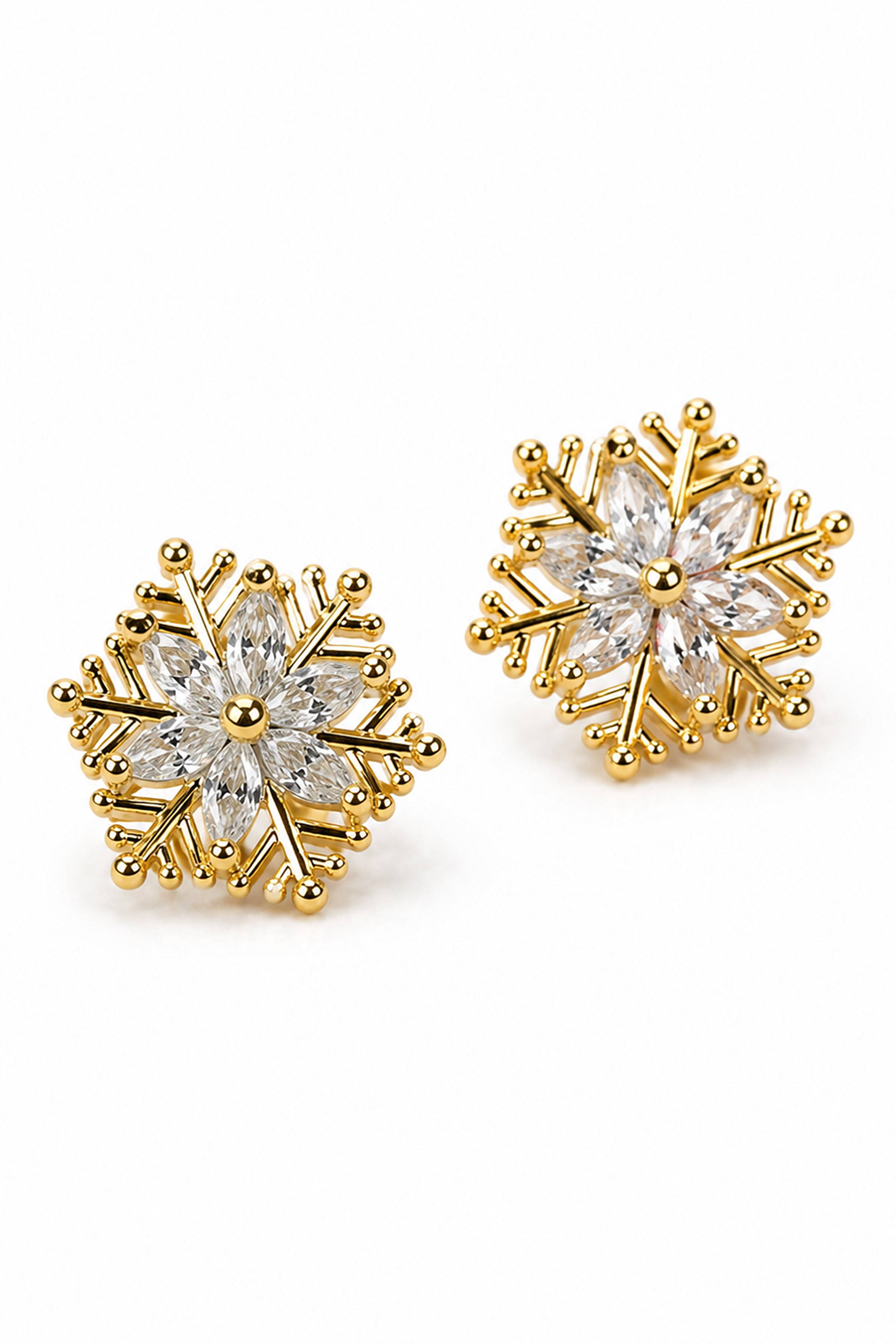 Women's Elegant Fashion Earrings