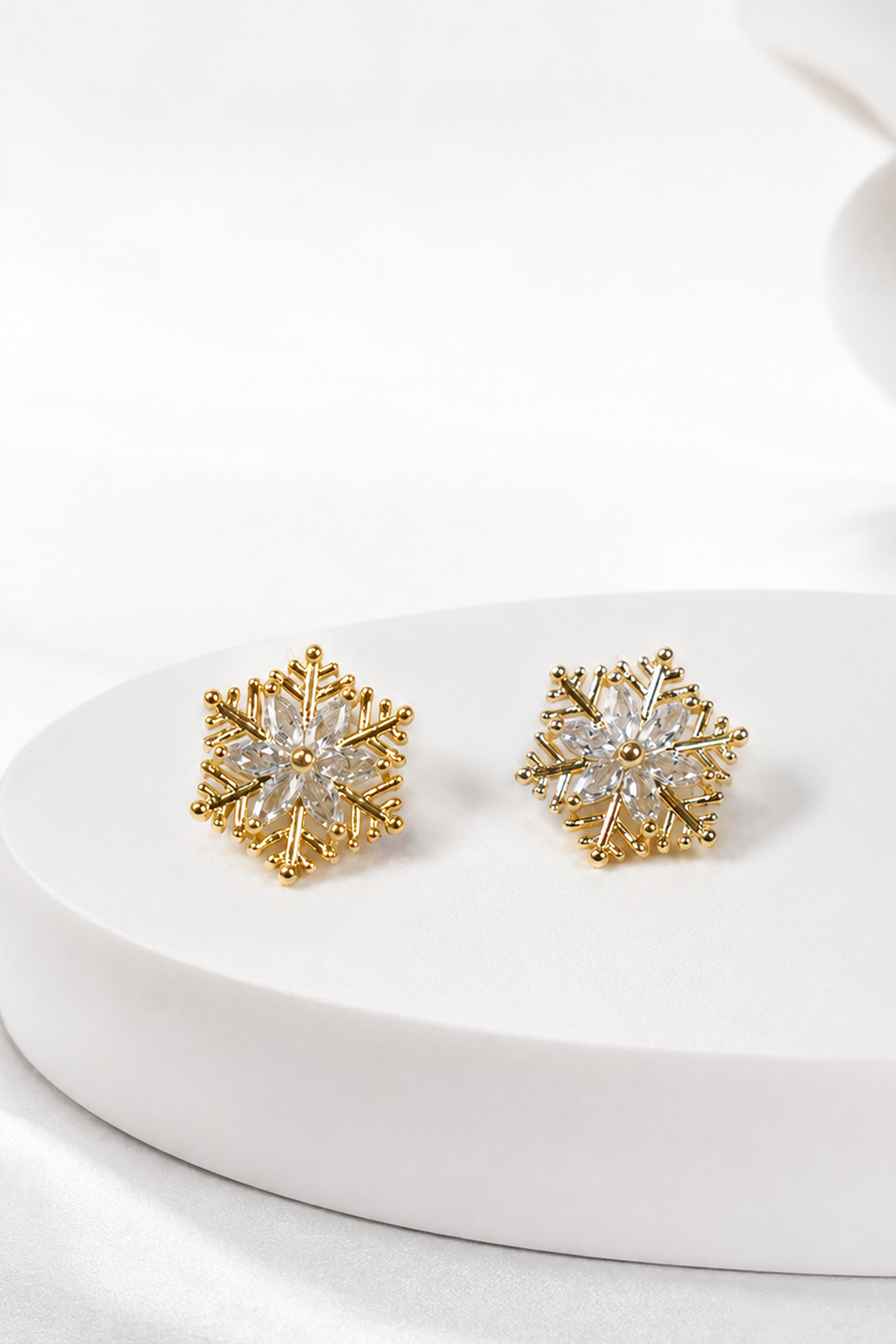 Women's Elegant Fashion Earrings