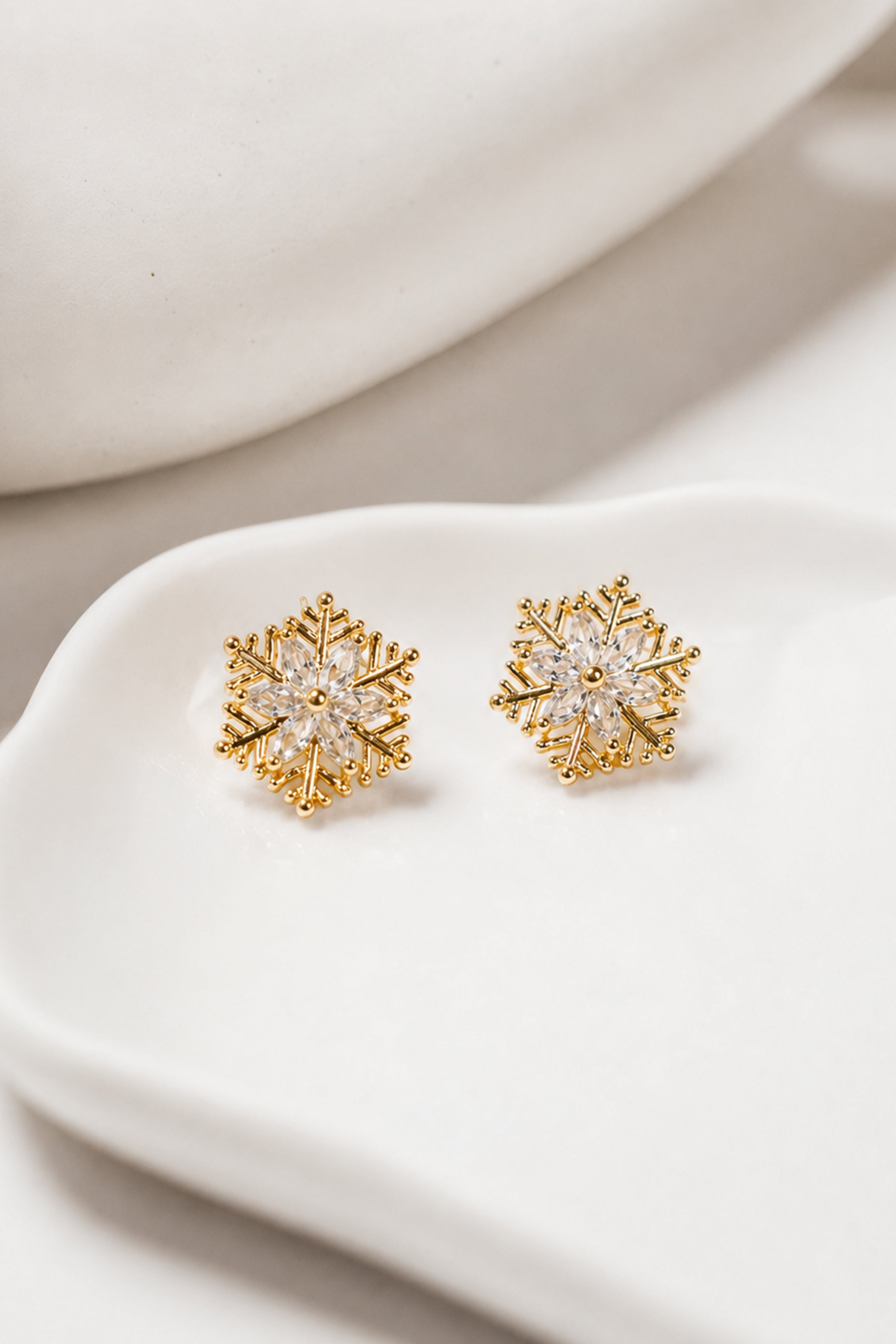 Women's Elegant Fashion Earrings