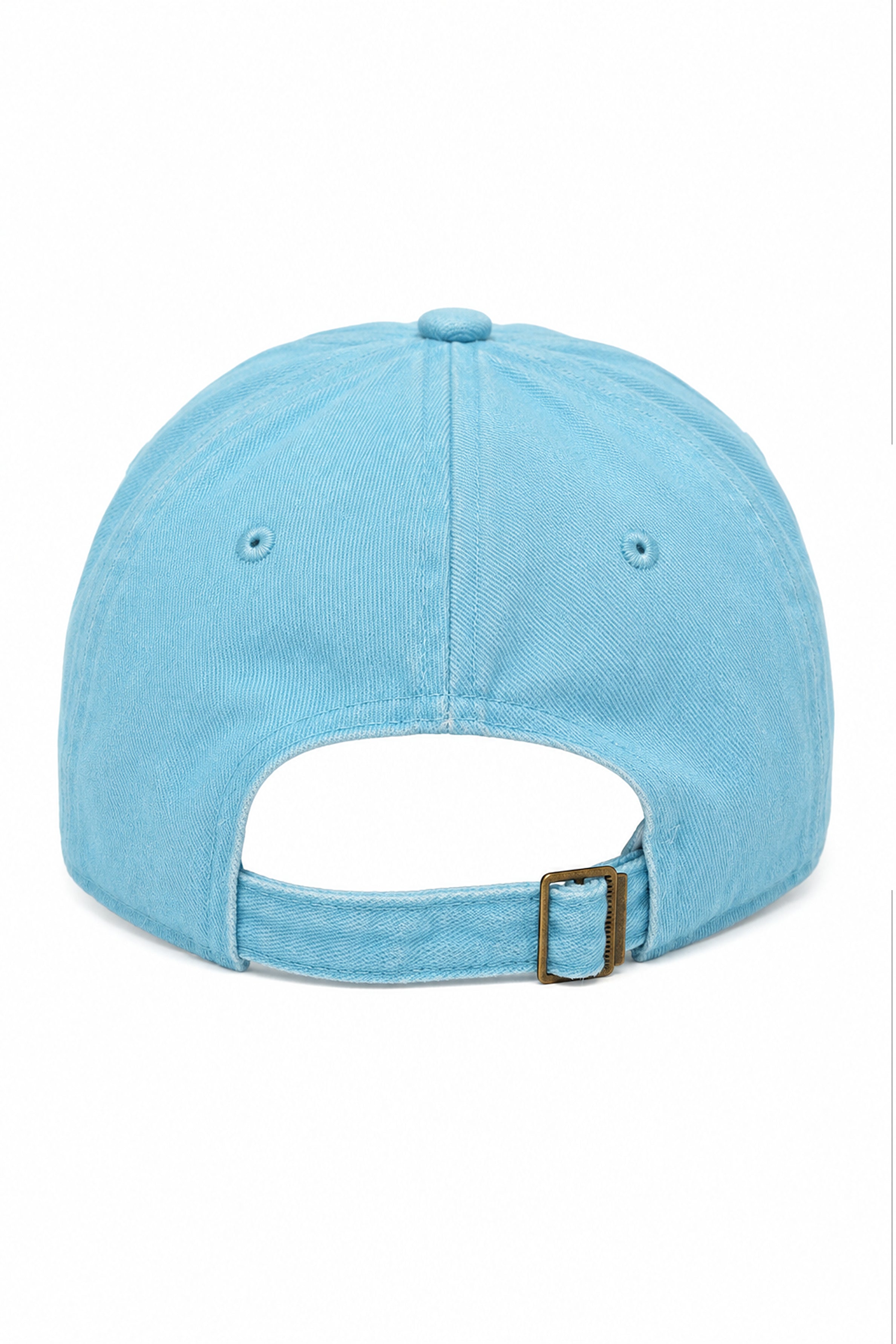 HUSTLE Unisex Light Blue Cap